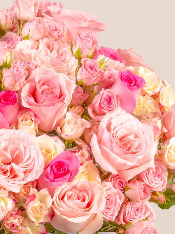 Close-up of O’Hara roses, blush roses, and pink spray roses in a large luxury flower box by Houz of Zen