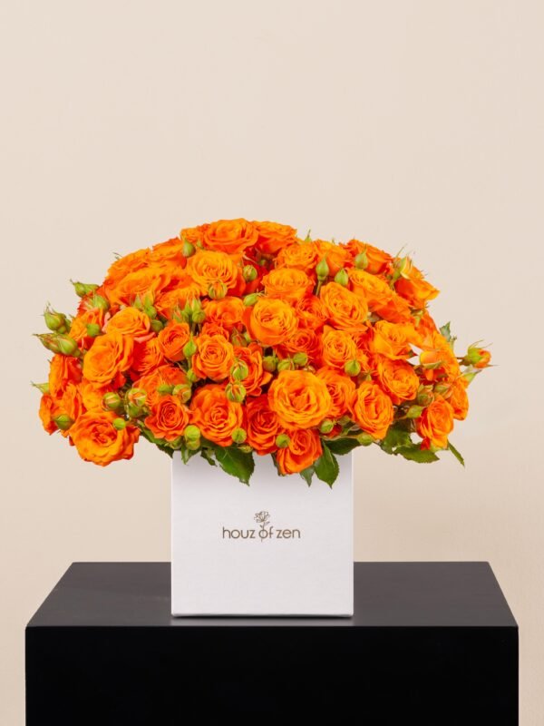 Orange spray roses arranged in a dome shape inside a white Houz of Zen flower box, placed on a black pedestal