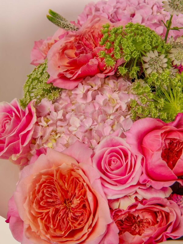 close-up of peach roses and pink hydrangeas with queen anne’s lace