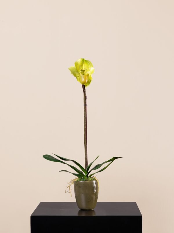 Faux lady slipper orchid in a tall single-stem design with green petals, set in a glossy green glass vase by Houz of Zen.