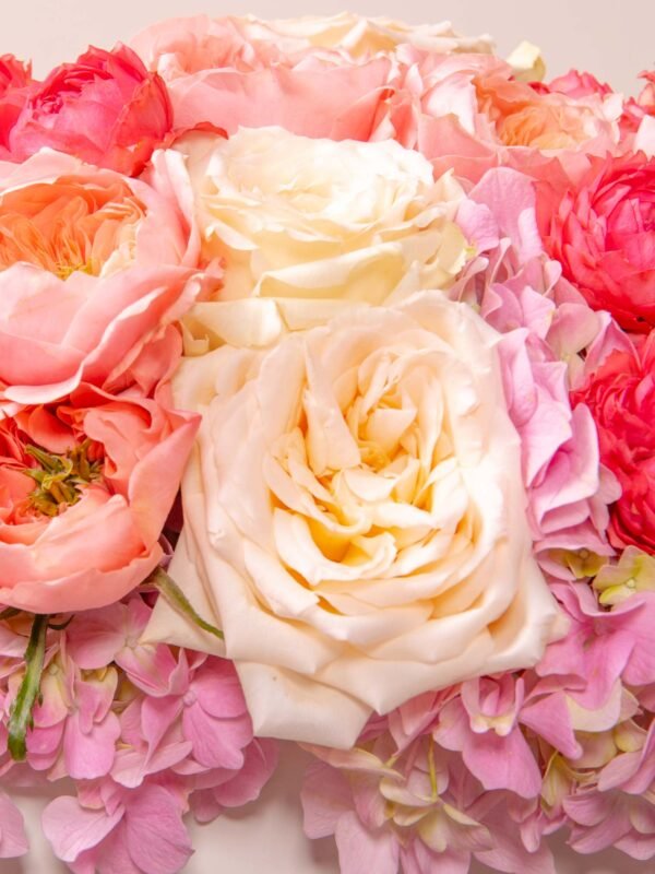 Zen Celestial Blush flower box with ivory Ohara roses, peach garden roses, pink spray roses, and blush hydrangeas in a white Houz of Zen box.