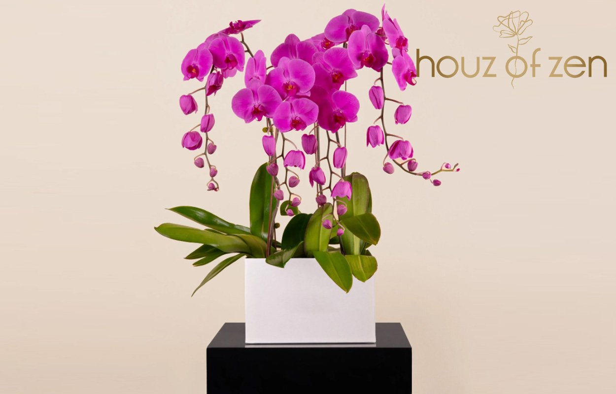 Which flowers are most expensive
