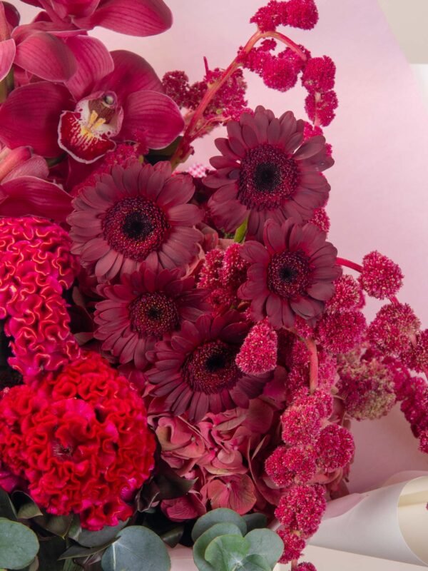 Close-up of red celosia and germini flowers in a luxury red bouquet
