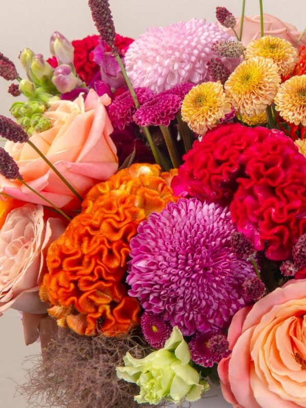 Close-up of fall flower box Dubai with orange celosia, pink pingpong chrysanthemums, and roses.