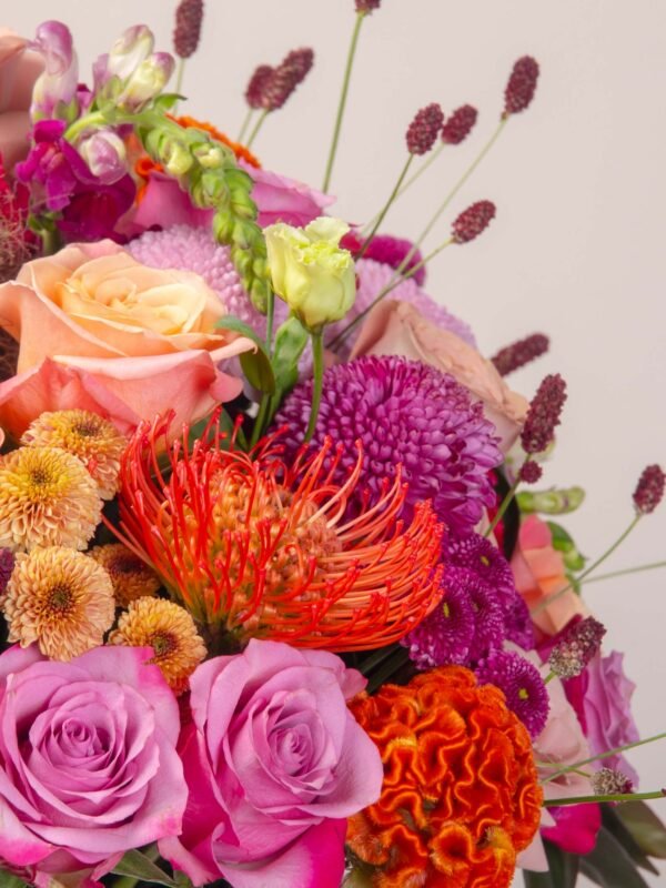 Close-up of colorful flower box with orange celosia, roses, and purple chrysanthemums