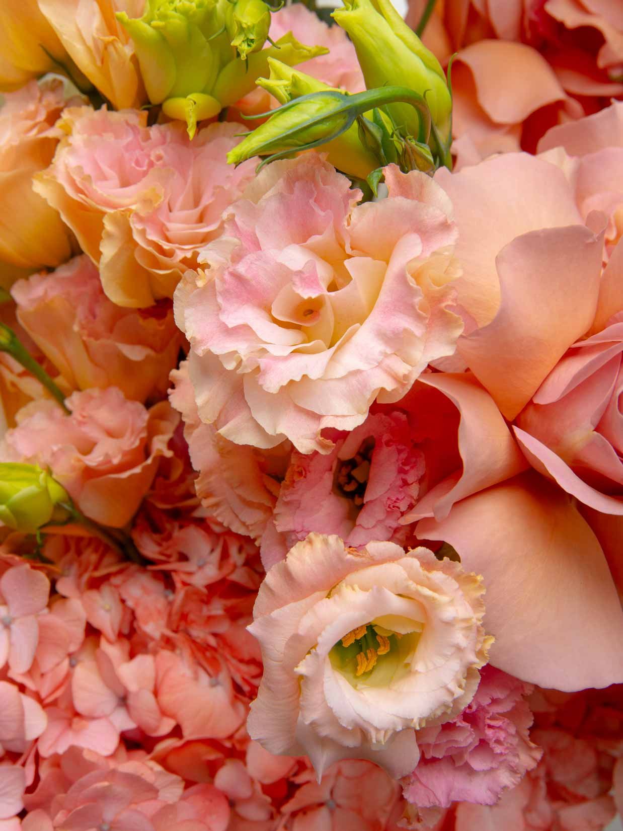 ZEN Apricot Veil Lisianthus and Peach Blooms Close-Up