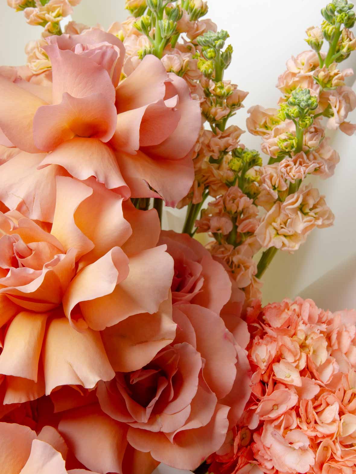 ZEN Apricot Veil Peach Roses and Lisianthus Close-Up