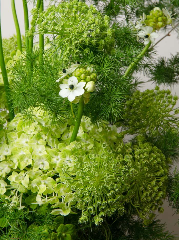 ZEN Fernlight Green Botanical Close-Up