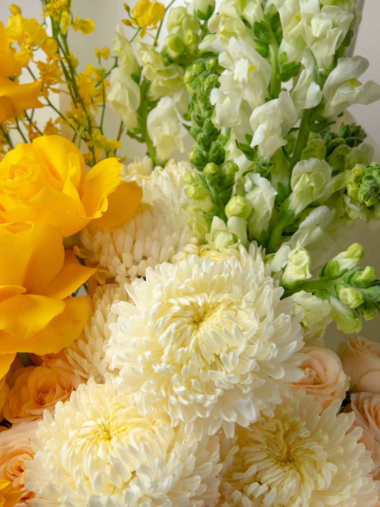 ZEN Golden Veil White Blooms and Yellow Flowers Close-Up