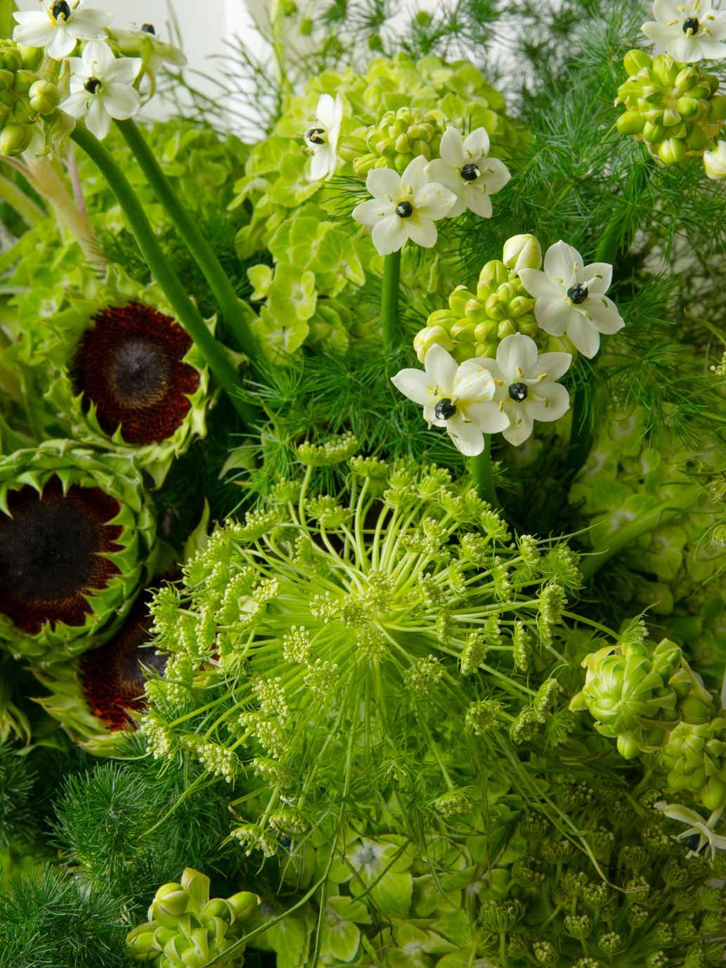 ZEN Green Solstice Green Botanical Close-Up