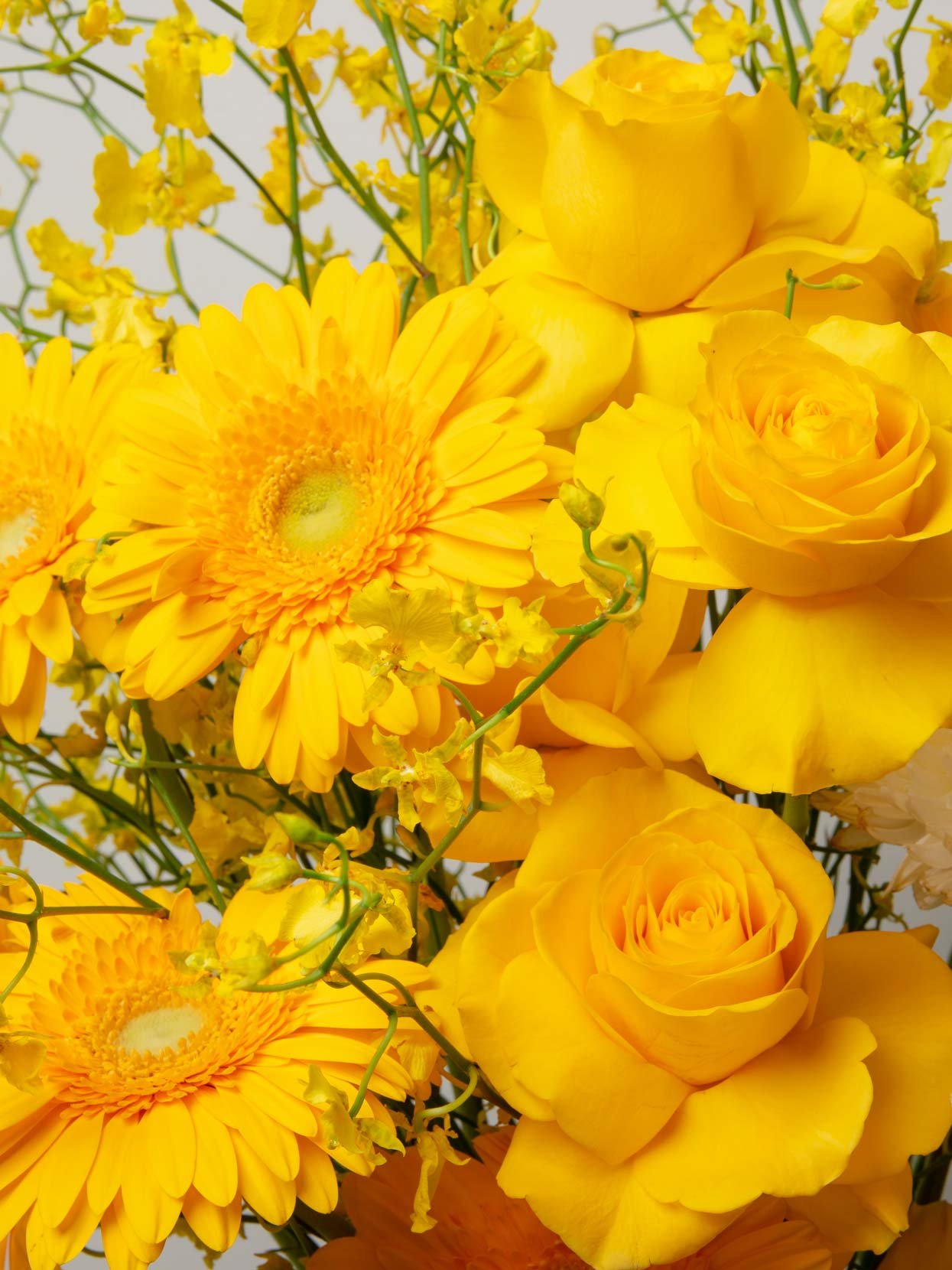 ZEN Lemon Light Yellow Roses and Gerberas Close-Up