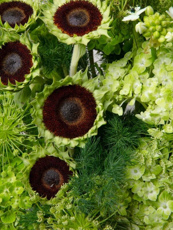 Sunflower accents close-up from ZEN Lime Whisper flower box in Dubai