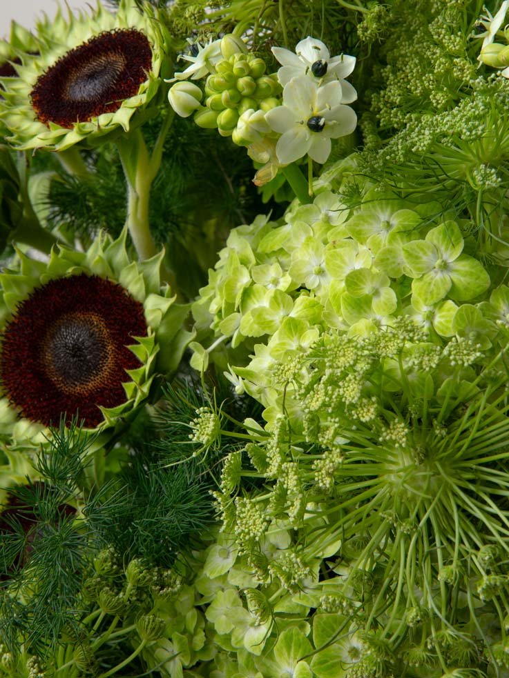 ZEN Lime Whisper Green Hydrangea and Foliage Close-Up