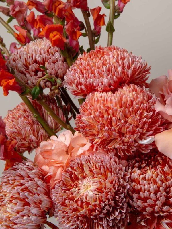 Peach roses close-up from ZEN Petal Air vase arrangement in Dubai