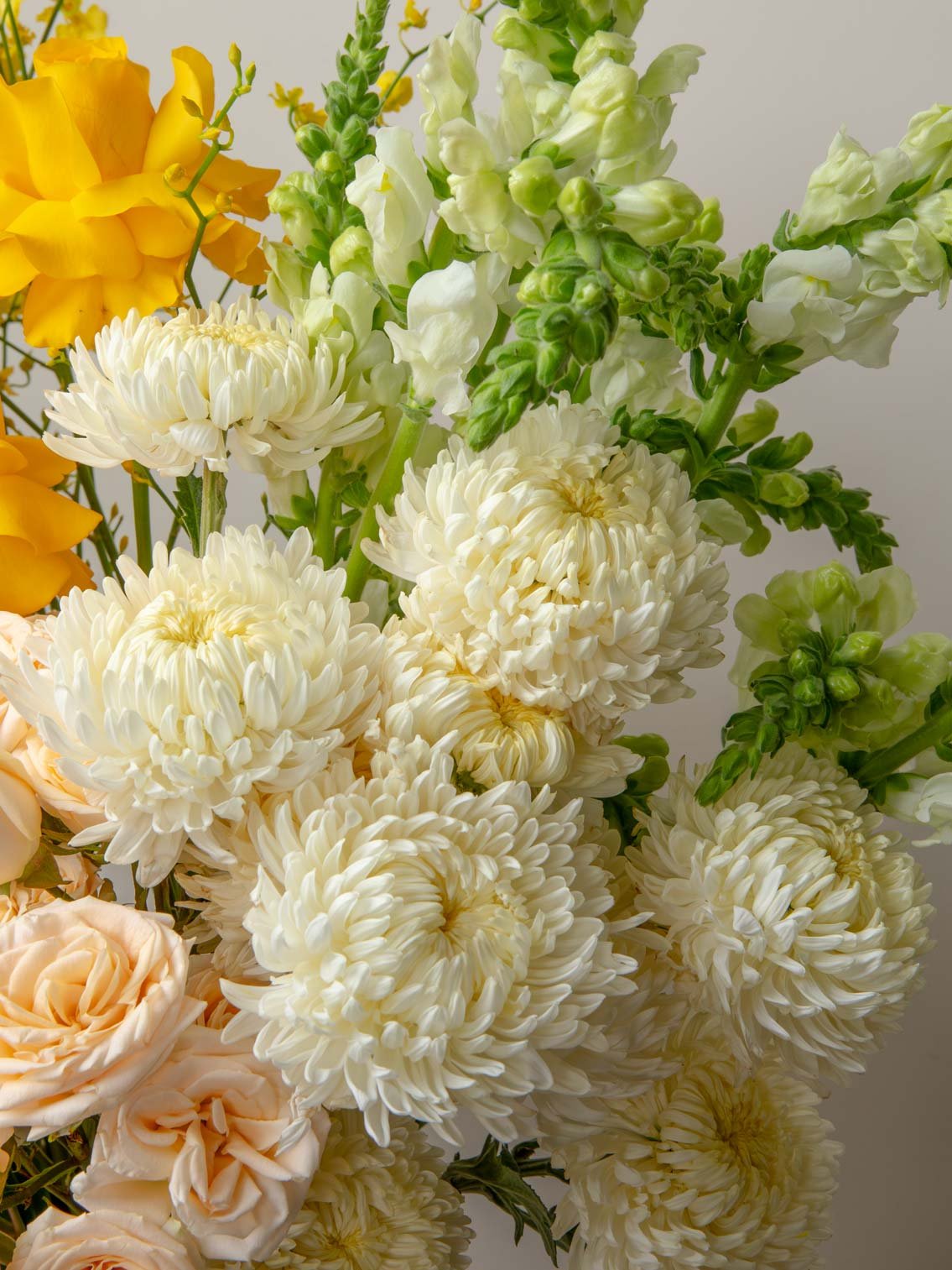 ZEN Saffron Air White Blooms Close-Up