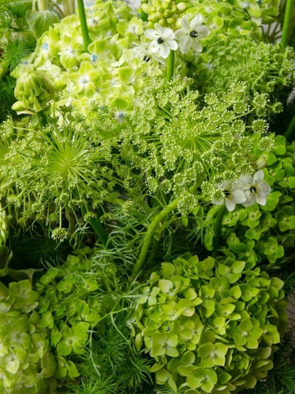 Green hydrangea close-up from ZEN Solar Grove flower box in Dubai