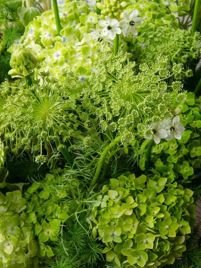 ZEN Solar Grove Green Hydrangea Close-Up