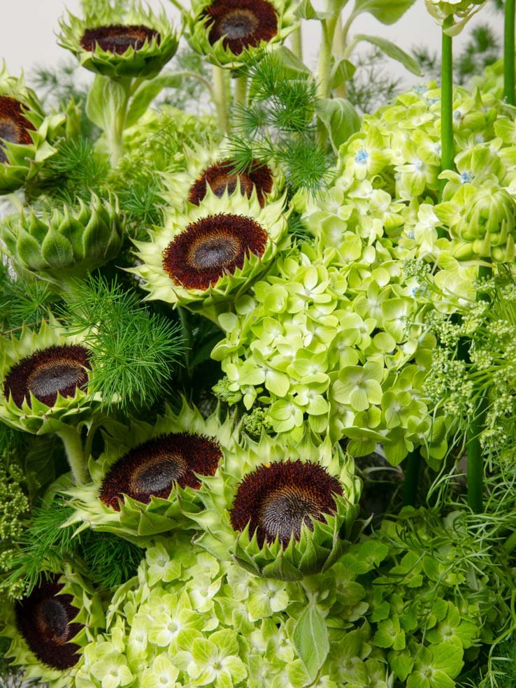 ZEN Solar Grove Sunflower and Hydrangea Close-Up
