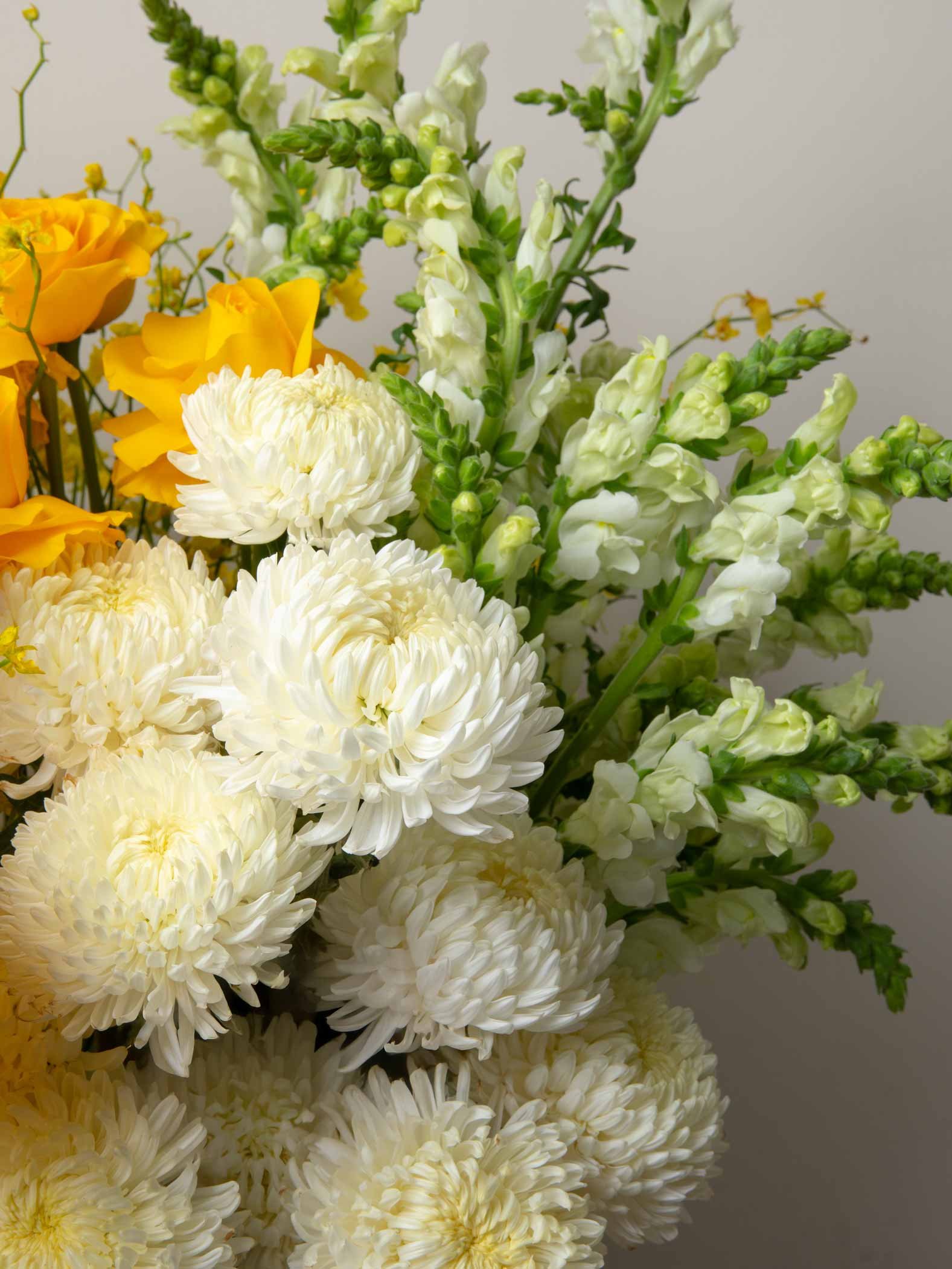 ZEN Sunlit Bloom White Blooms Close-Up