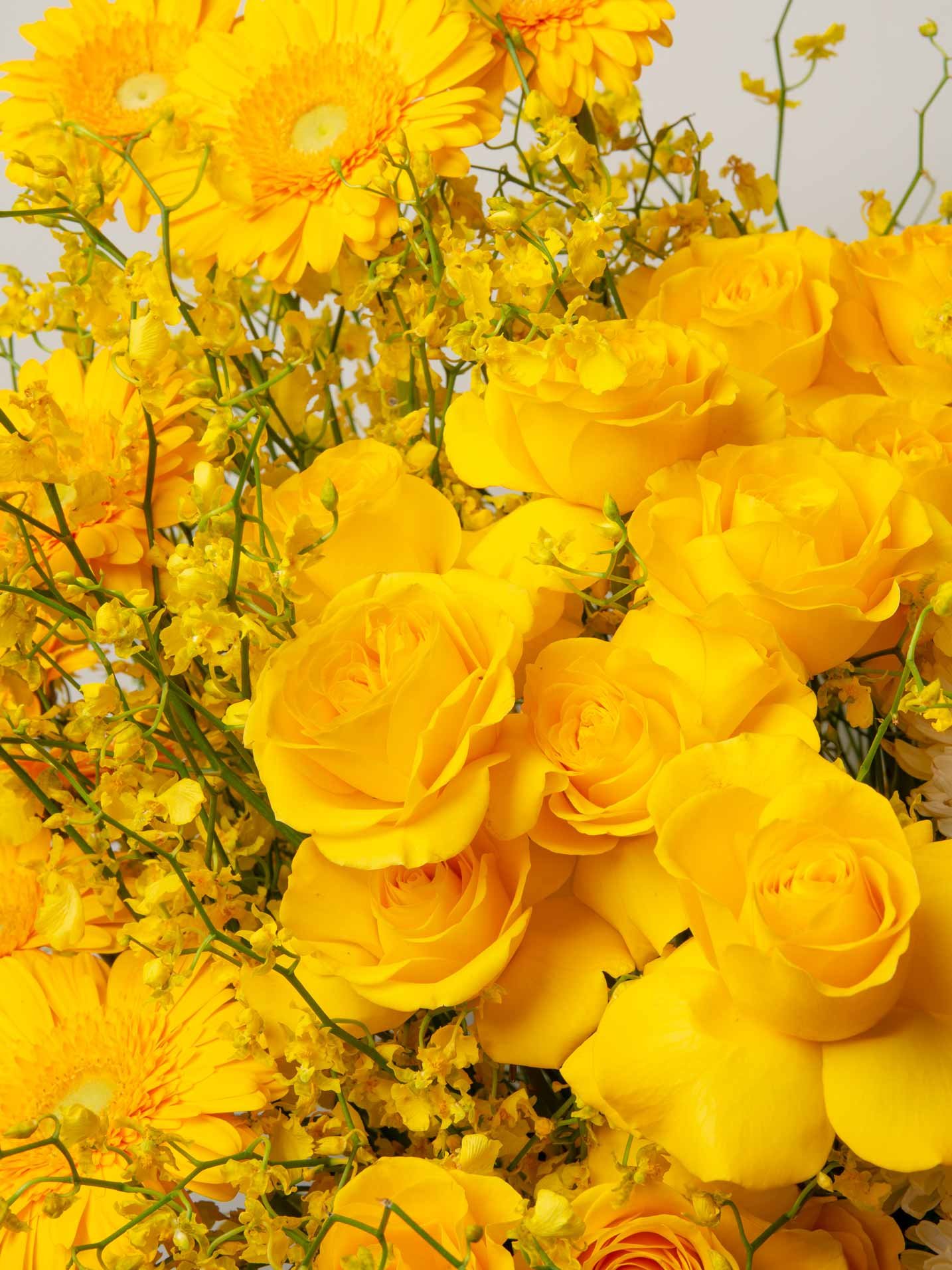 ZEN Sunlit Bloom Yellow Roses Close-Up