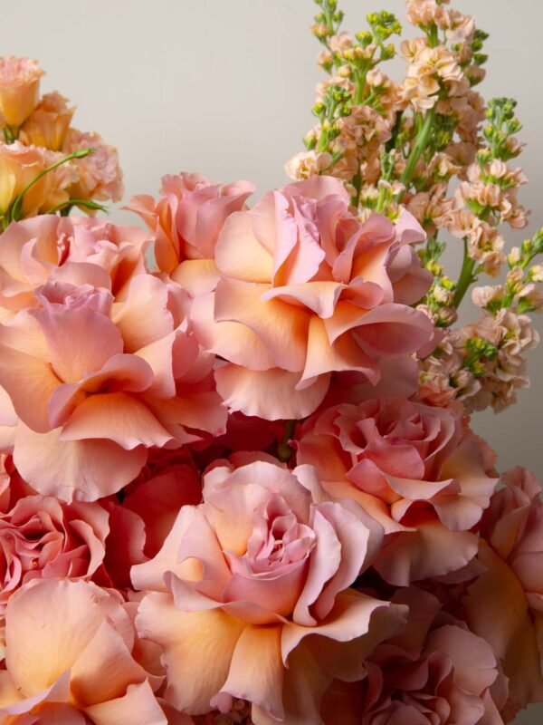 Peach roses and lisianthus close-up from ZEN Sunlit Glow flower box in Dubai