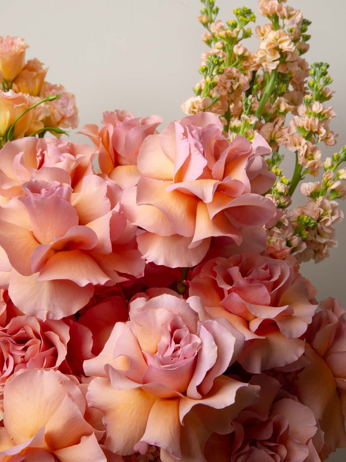 ZEN Sunlit Glow Peach Roses and Lisianthus Close-Up