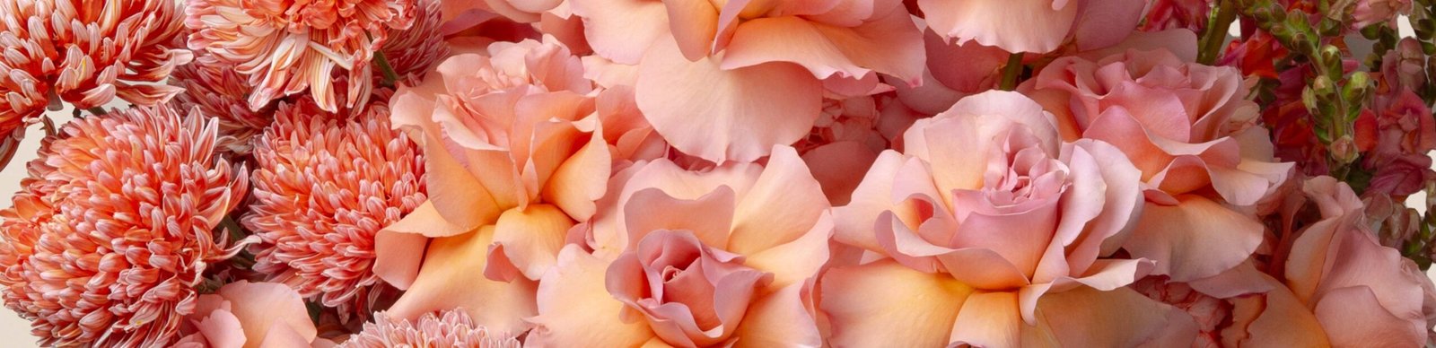 Image Slider